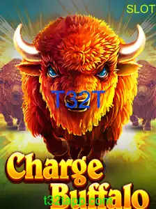 ChargeBuffalo